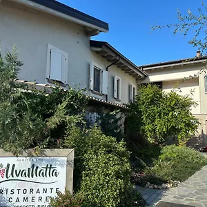 Uvamatta , Carmiano (Emilia-Romagna) Italië